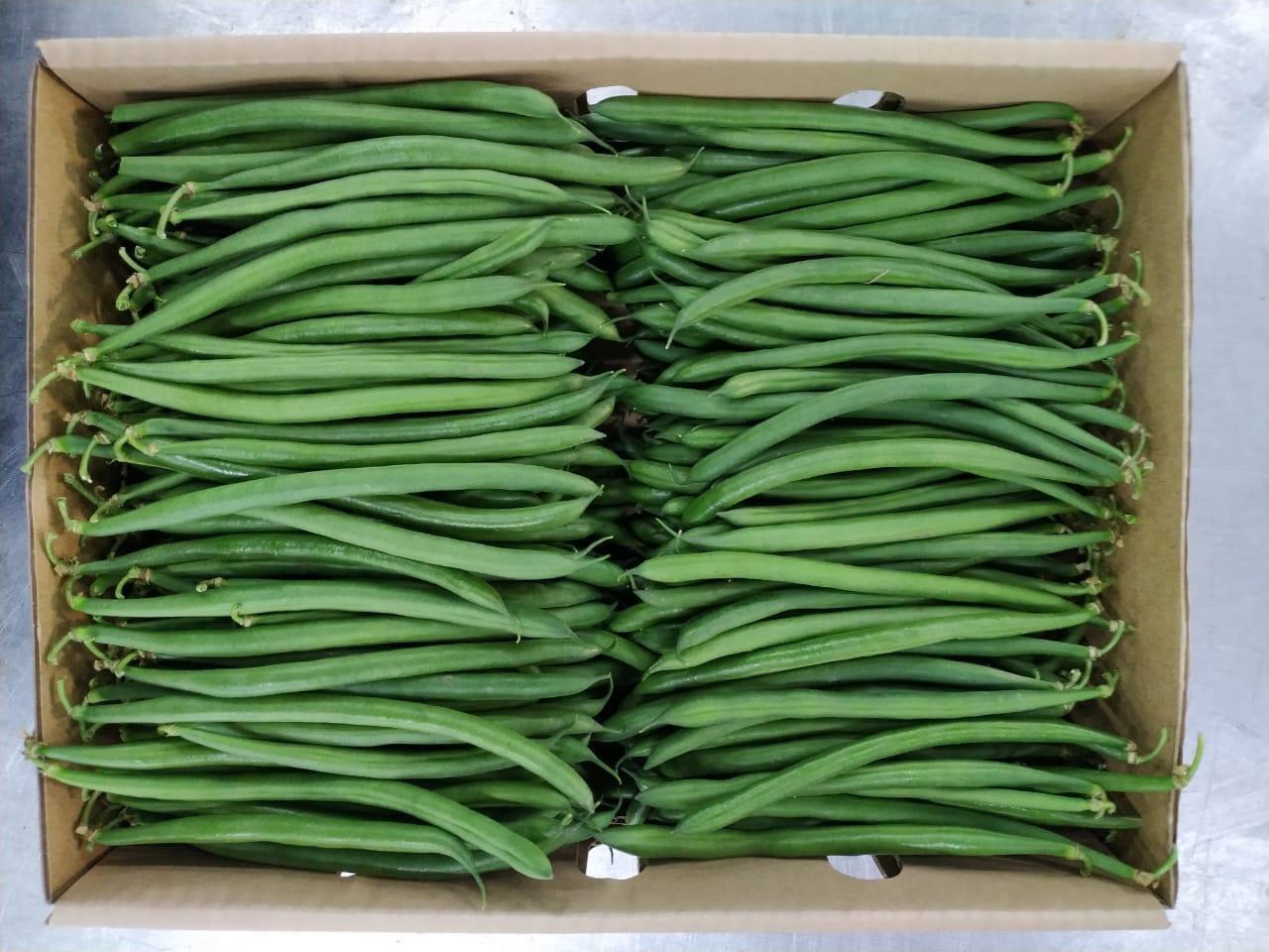 Green Beans